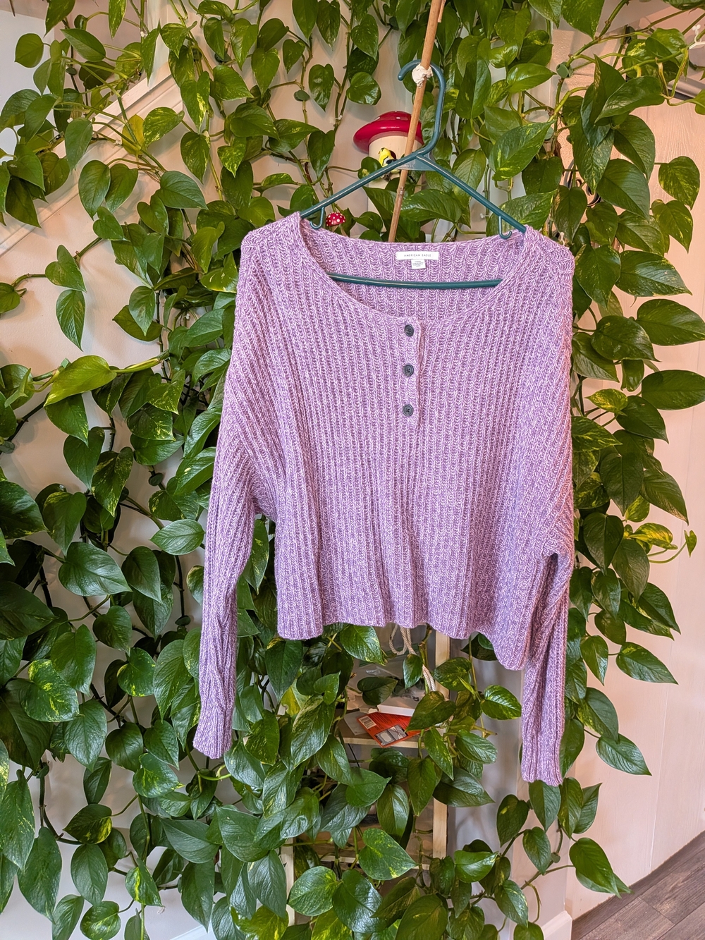 American Eagle Outfitters Lavender Ribbed Henley Sweater